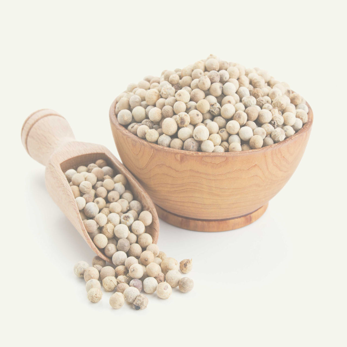 Weiße Pfefferkörner ganz in Holzschale mit Holzlöffel auf hellem Hintergrund Gewürz White Pepper Corns