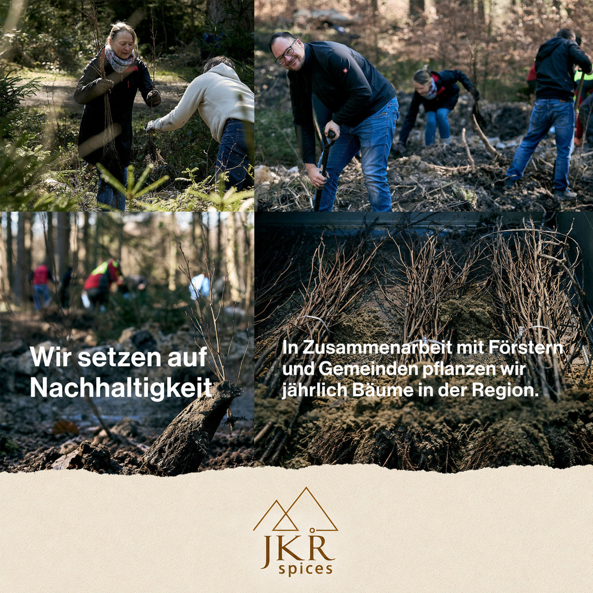 Helfer bei einer Baumpflanzaktion im Wald für das Nachhaltigkeitsengagement von JKR Spices.