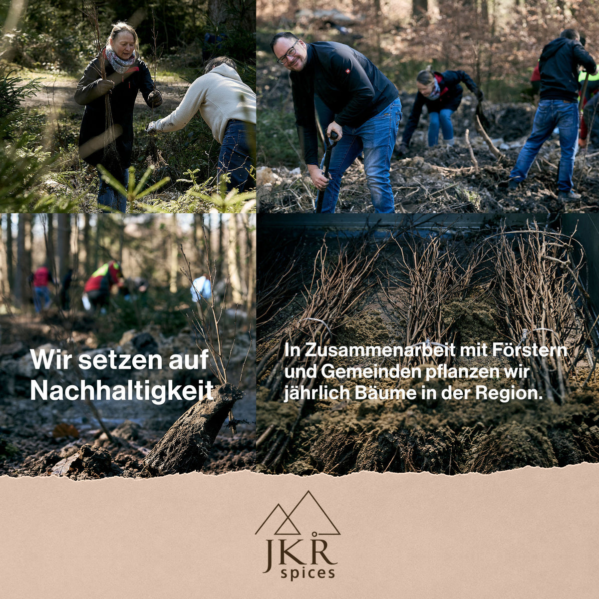 Helfer bei einer Baumpflanzaktion im Wald für das Nachhaltigkeitsengagement von JKR Spices.