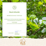 Baum-Urkunde für das Aufforstungsengagement von JKR Spices vor einem grünen Blätterhintergrund.