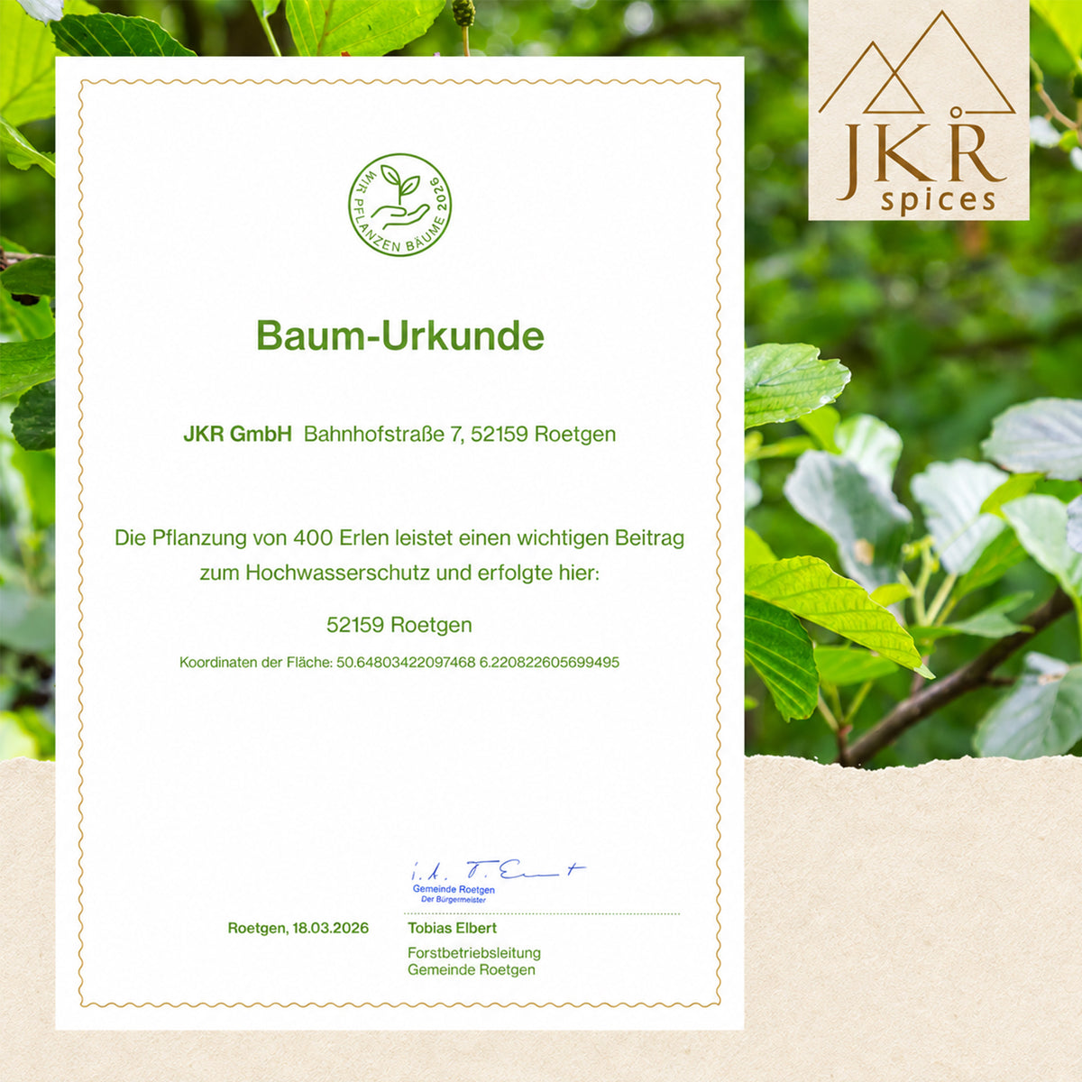 Baum-Urkunde für das Aufforstungsengagement von JKR Spices vor einem grünen Blätterhintergrund.