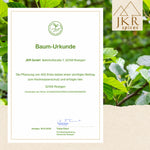 Baum-Urkunde für das Aufforstungsengagement von JKR Spices vor einem grünen Blätterhintergrund.