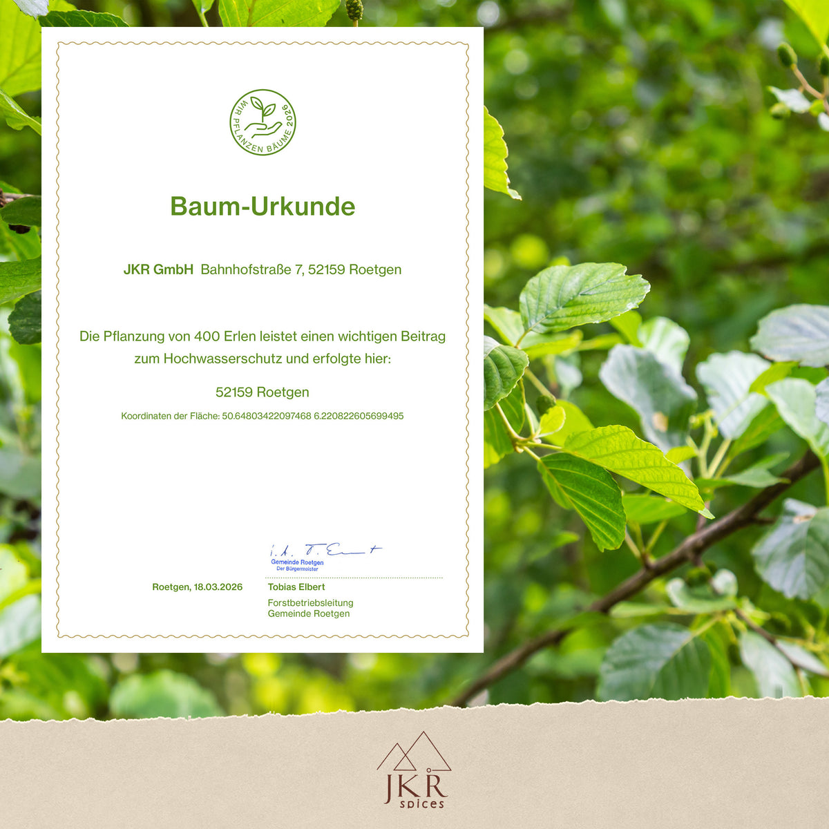 Baum-Urkunde zur Baumpflanzaktion von JKR Spices vor einem grünen Blätterhintergrund.