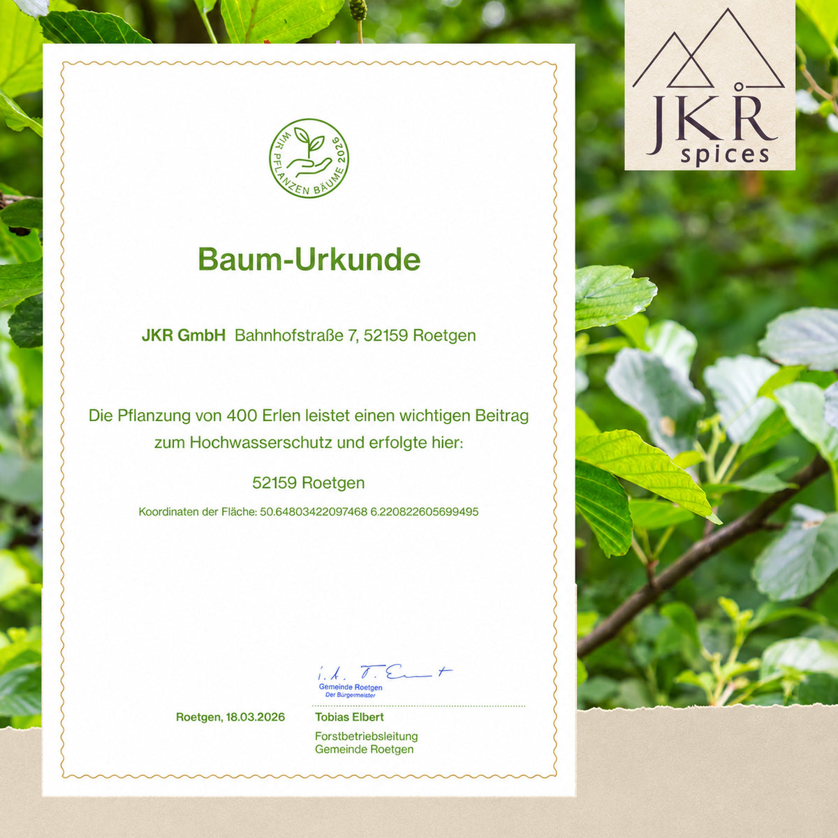 Baum-Urkunde für das Aufforstungsengagement von JKR Spices vor einem grünen Blätterhintergrund.