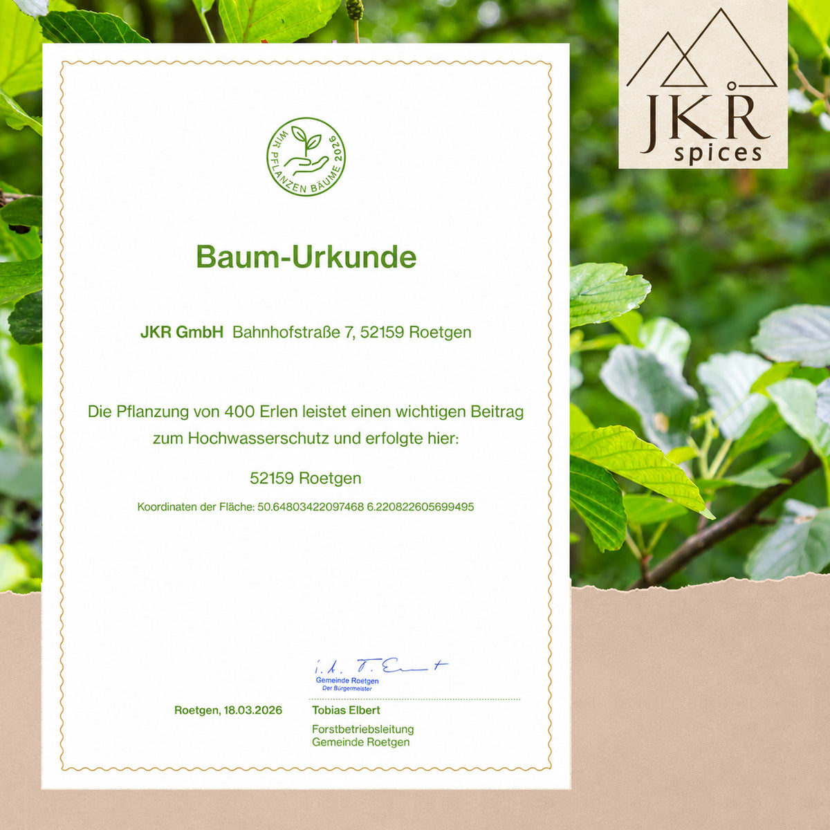 Baum-Urkunde für das Aufforstungsengagement von JKR Spices vor einem grünen Blätterhintergrund.