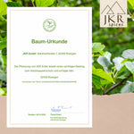 Baum-Urkunde für das Aufforstungsengagement von JKR Spices vor einem grünen Blätterhintergrund.