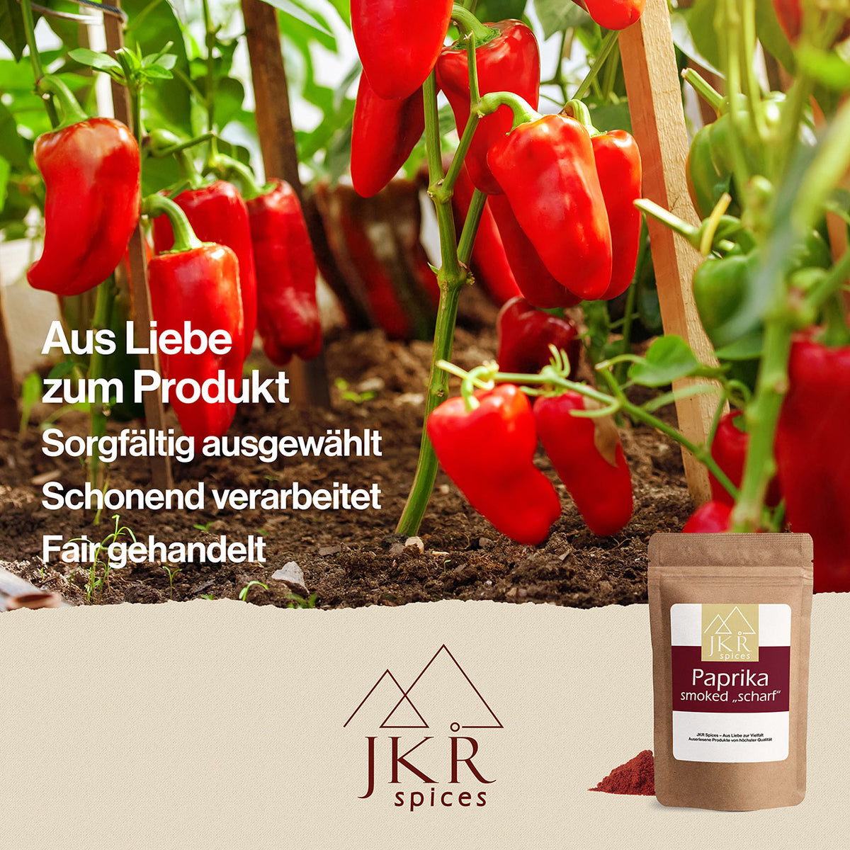 Reihen von rote Chilischoten am Strauch hängend. Text: Aus Liebe zum Produkt/Sorgfältig ausgewählt/Schonend verarbeitet/Fair gehandelt