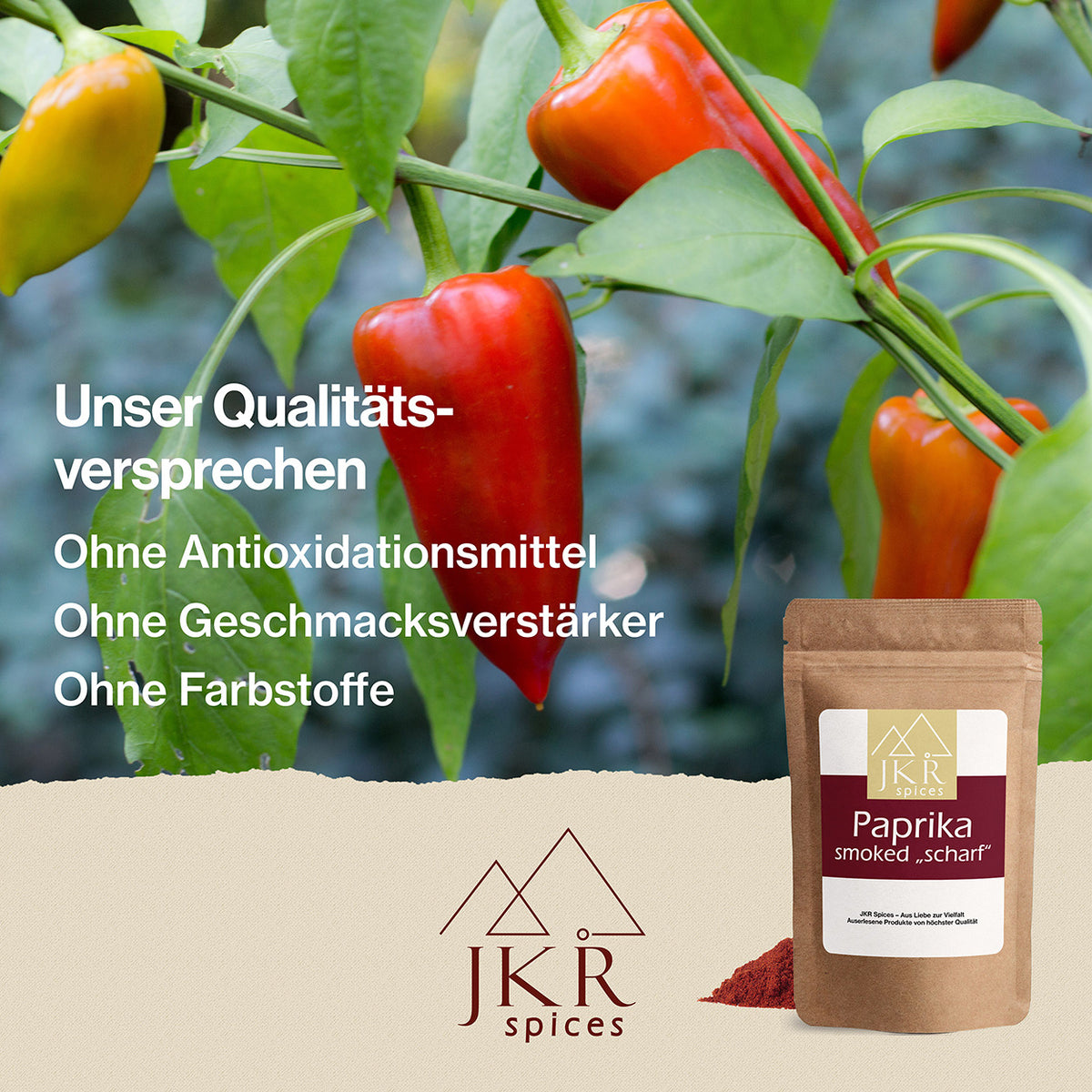 Grüne und rote Chilischoten am Strauch hängend. Text: Unser Qualitätsversprechen: Ohne Antioxidationsmittel/Ohne Geschmacksverstärker/Ohne Farbstoffe