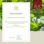 Bild mit Baum-Urkunde, im Hintergrund grüne Blätter einer Erle, JKR Spices-Logo