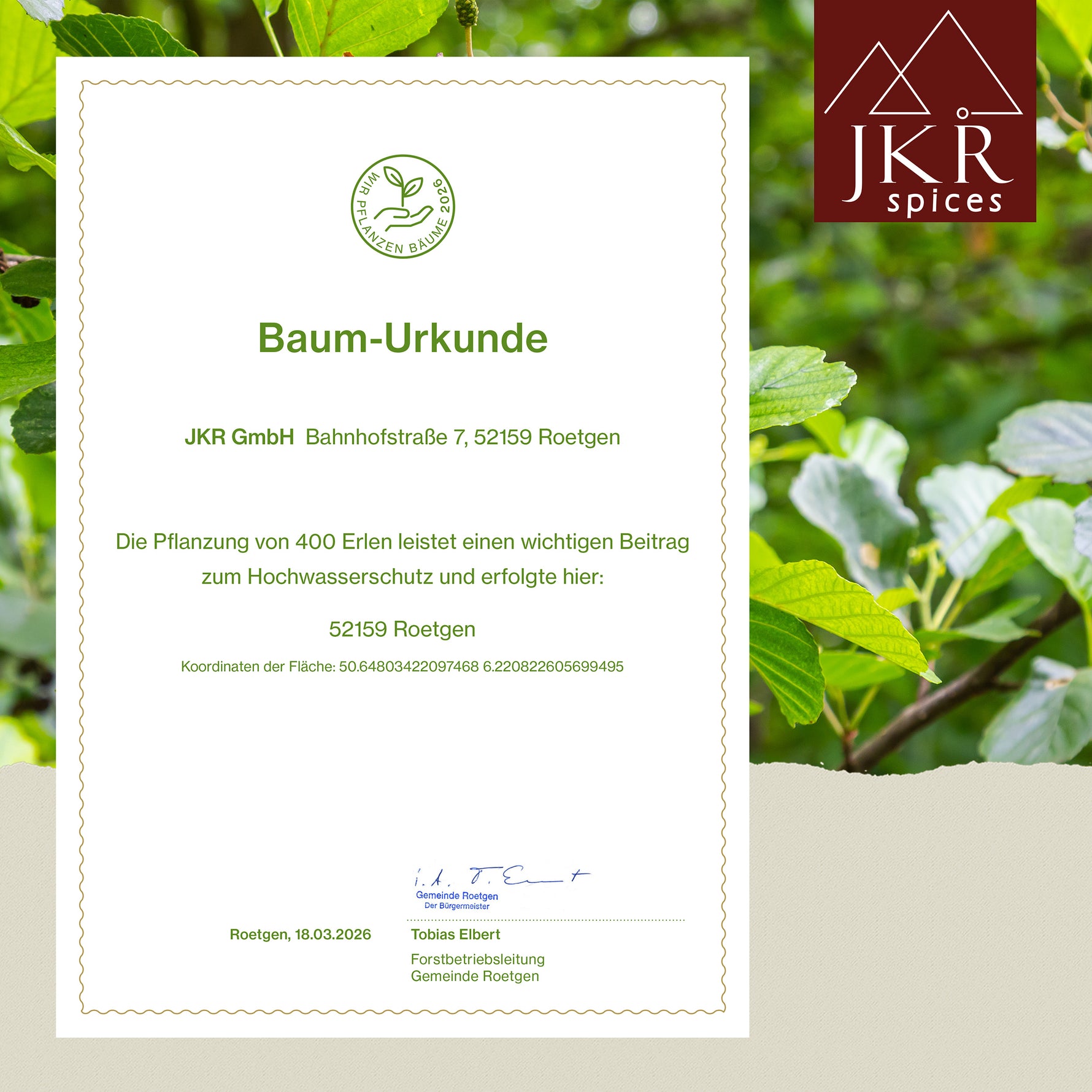 Bild mit Baum-Urkunde, im Hintergrund grüne Blätter einer Erle, JKR Spices-Logo