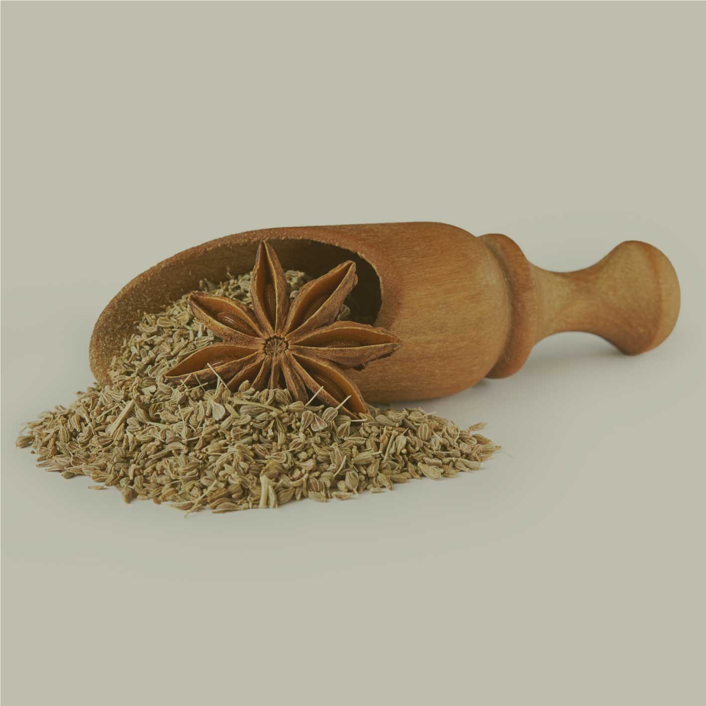 Ganze Anissamen in Holzschaufel auf hellem Untergrund – natürliche, aromatische Rohware für JKR Spices Anis ganz