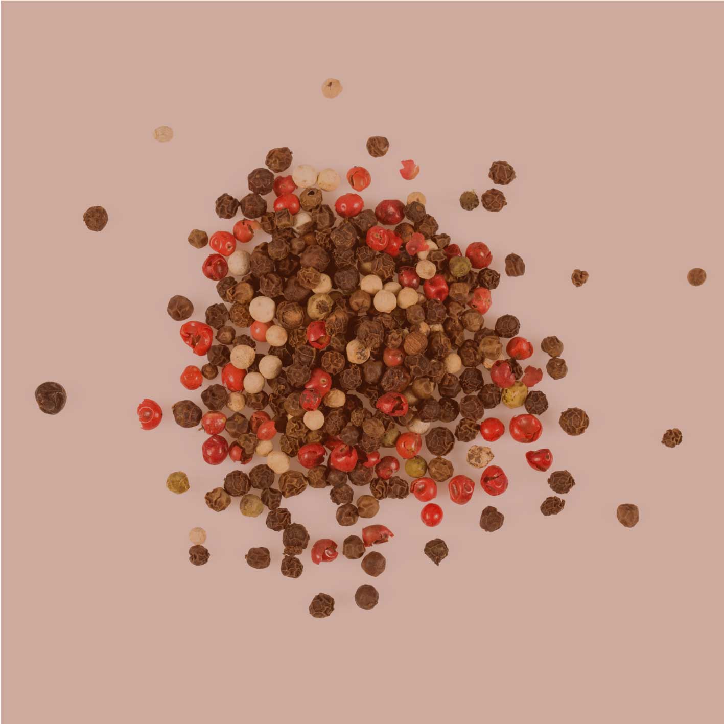 Aromatische bunte Pfefferkörner Mischung aus schwarzen, weißen, grünen und rosa Pfefferbeeren als Gewürz für vielseitige Küche