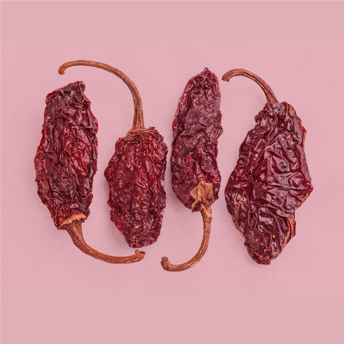 Getrocknete rote Chipotle Jalapeño Schoten als Grundlage für rauchig-würziges Chili Chipotle Pulver