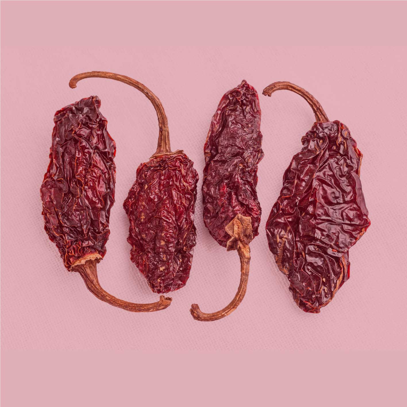 Getrocknete rote Chipotle Jalapeño Schoten als Grundlage für rauchig-würziges Chili Chipotle Pulver