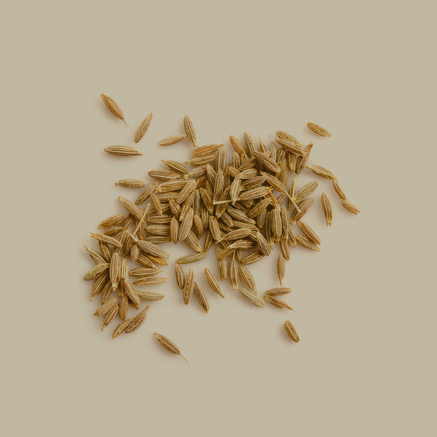 Cumin Samen und Cuminpulver auf hellem Hintergrund – natürliche Darstellung der Gewürzquelle