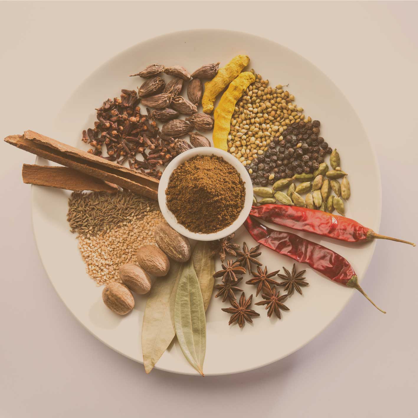 Verschiedene indische Gewürze wie Zimt, Kardamom, Chili und Garam Masala auf einem weißen Teller – traditionelle Mischung in natürlicher Darstellung