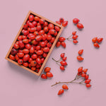 Frische Hagebutten lose und in einer Schale auf rosa Hintergrund – natürliche Darstellung der Frucht