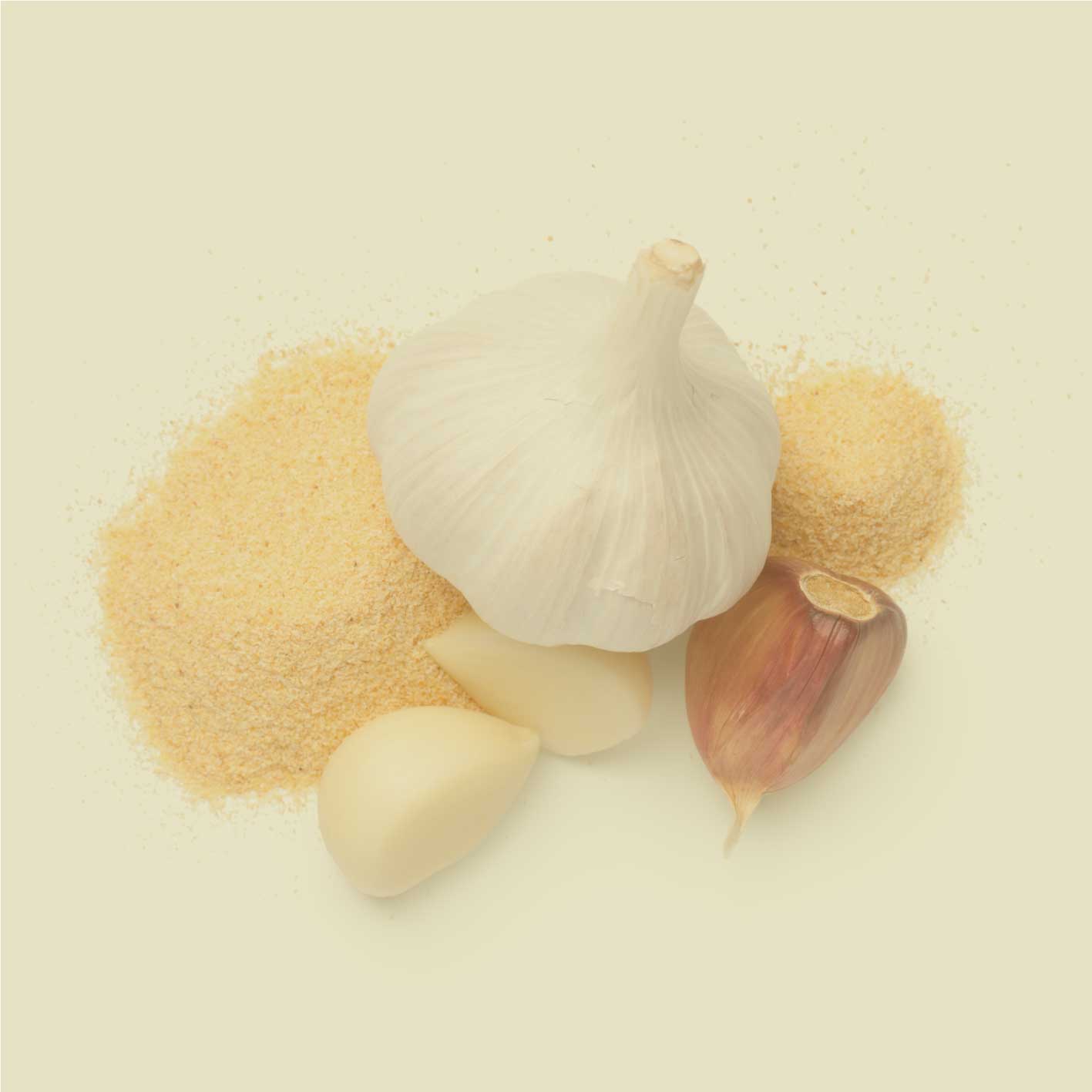 Knoblauchzehen, Knoblauchpulver und Granulat auf hellem Hintergrund – natürliche Darstellung des Gewürzes