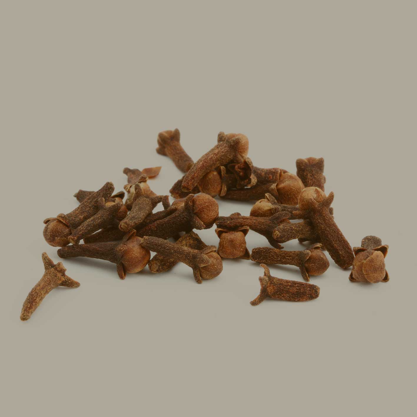 Ganze Nelken als Rohware, getrocknete Nelkenknospen Nahaufnahme auf hellem Hintergrund, Zutatenmotiv für JKR Spices