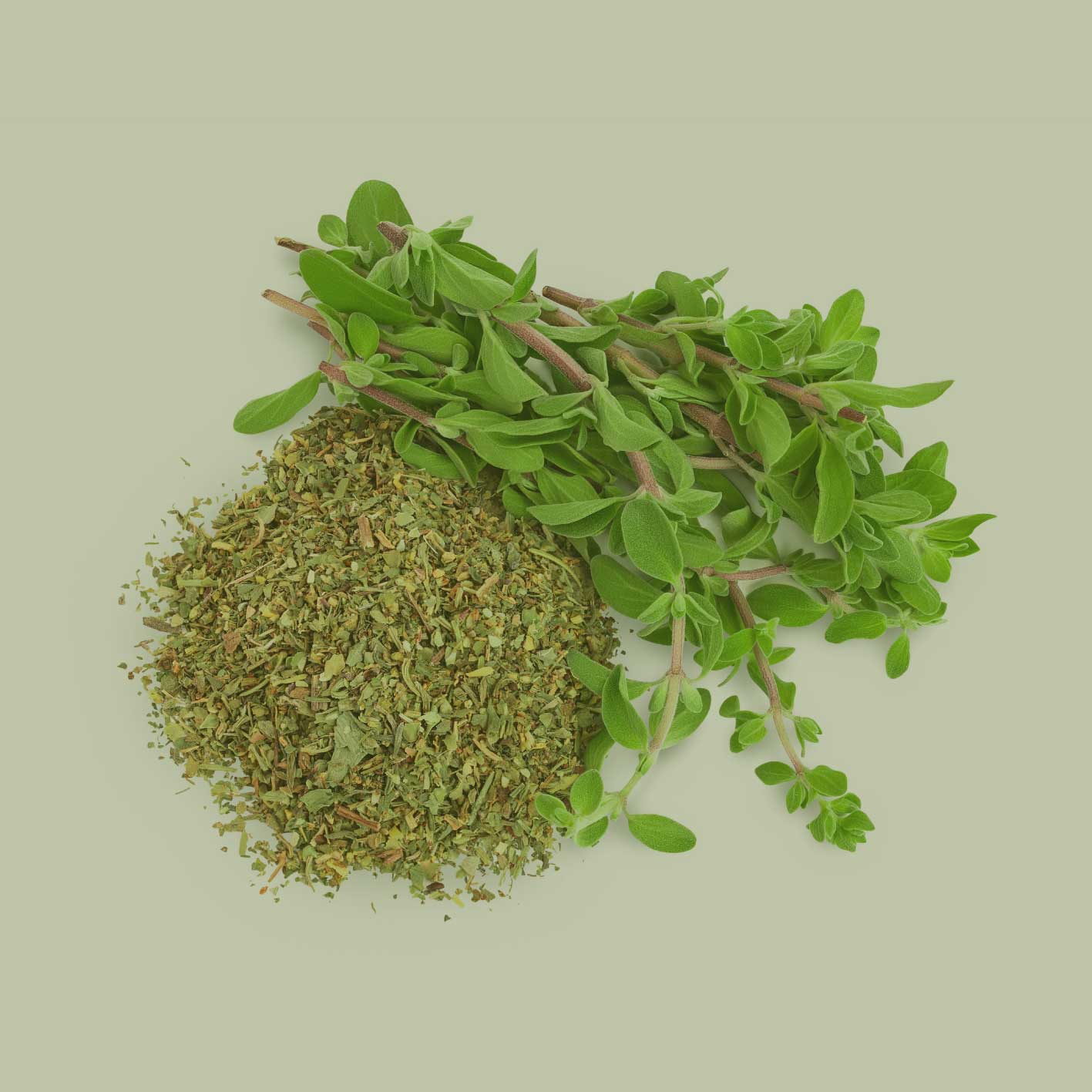 Oregano gerebelt (250g | 500g | 1000g)