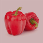 Rote Paprikaschoten als Rohware, frische Paprika als Zutatenmotiv auf hellem Hintergrund, Basis für Paprika edelsüß Gewürz