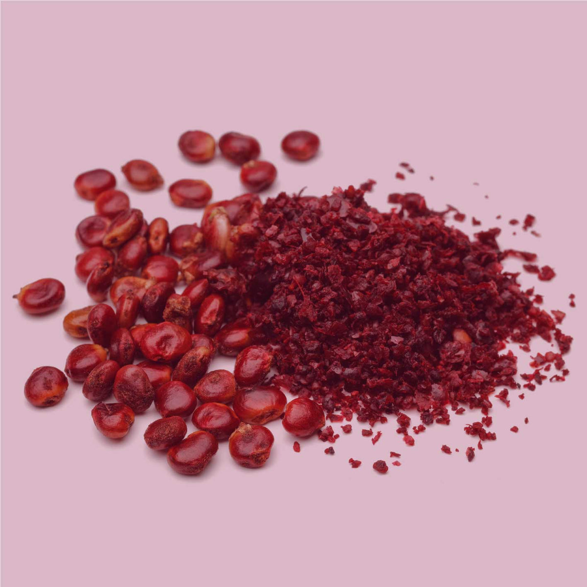 Sumach gemahlen Nahaufnahme rote Sumach Beeren und Sumach Pulver auf rosa Hintergrund