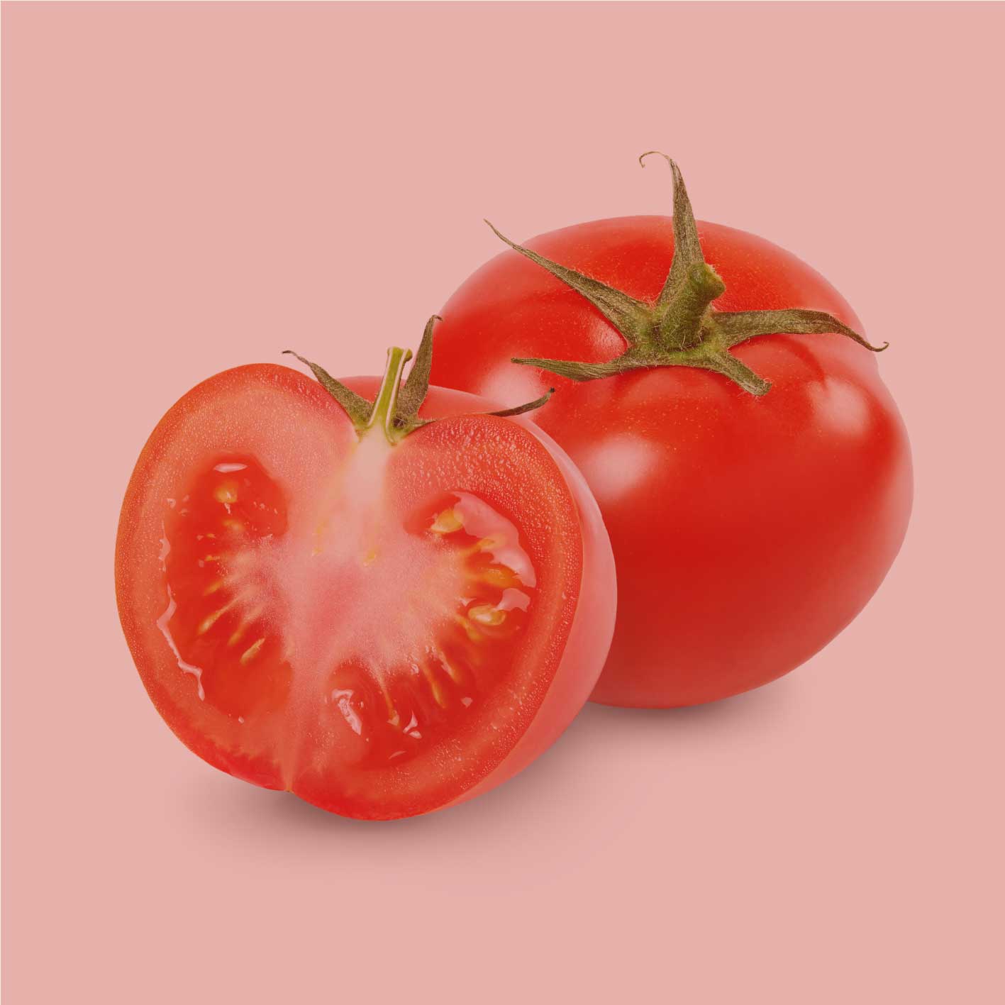 Tomaten frisch auf rotem Hintergrund, rote Tomaten als Zutat für Tomatenpulver und Tomatengewürz