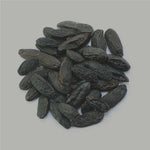 Tonkabohnen Nahaufnahme, ganze schwarze Tonkabohnen als Rohware auf hellem Hintergrund