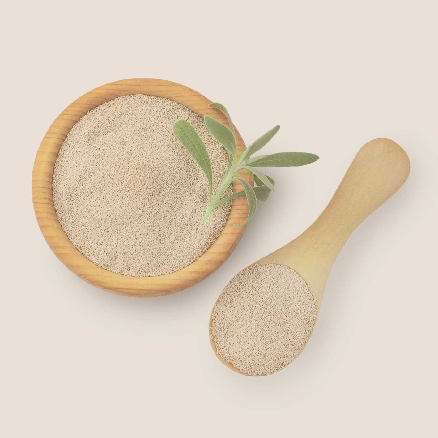 Trockenhefe in Schale mit Holzlöffel, feine Backhefe zum Hefeteig, Brot und Gebäck